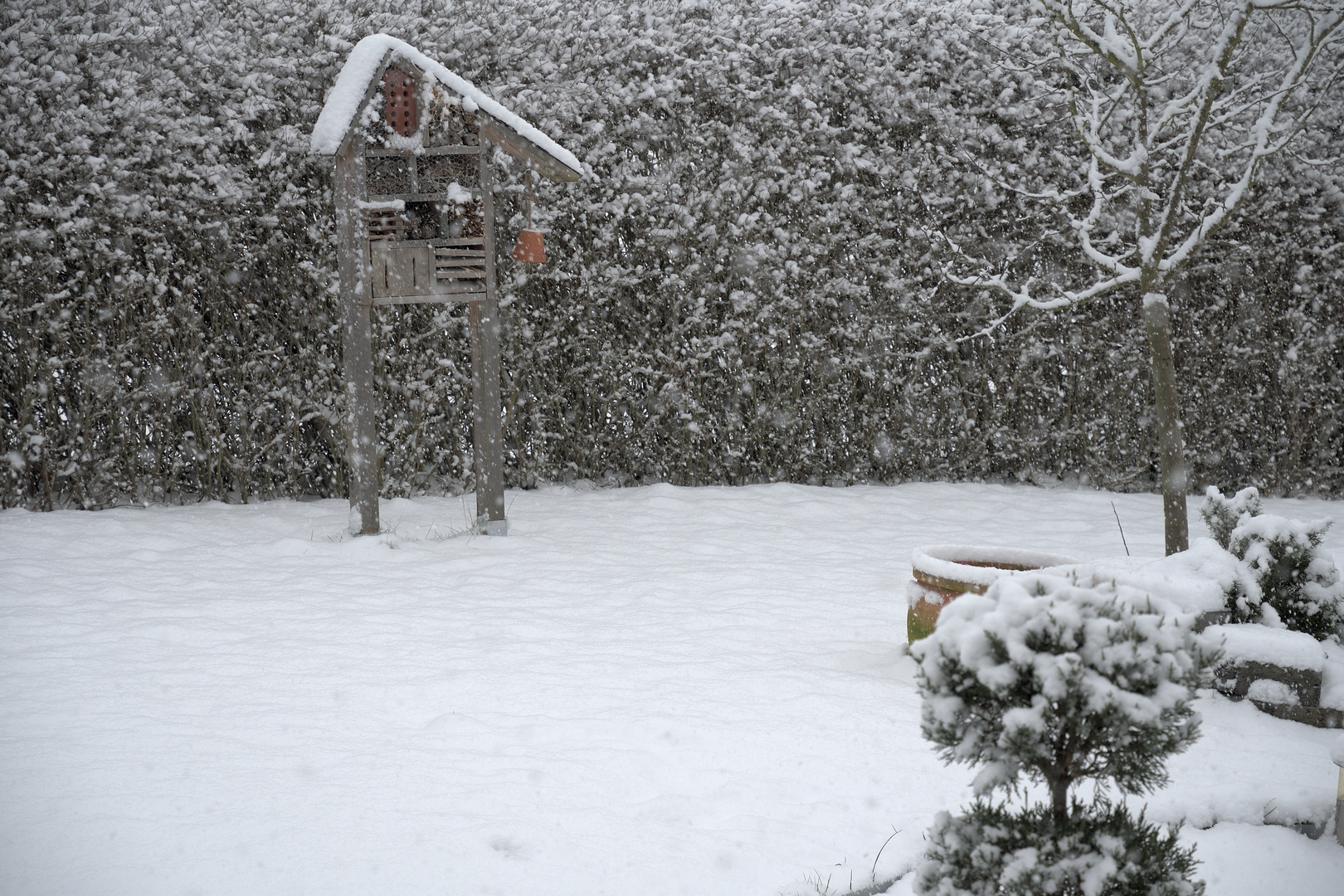 Winter im Garten