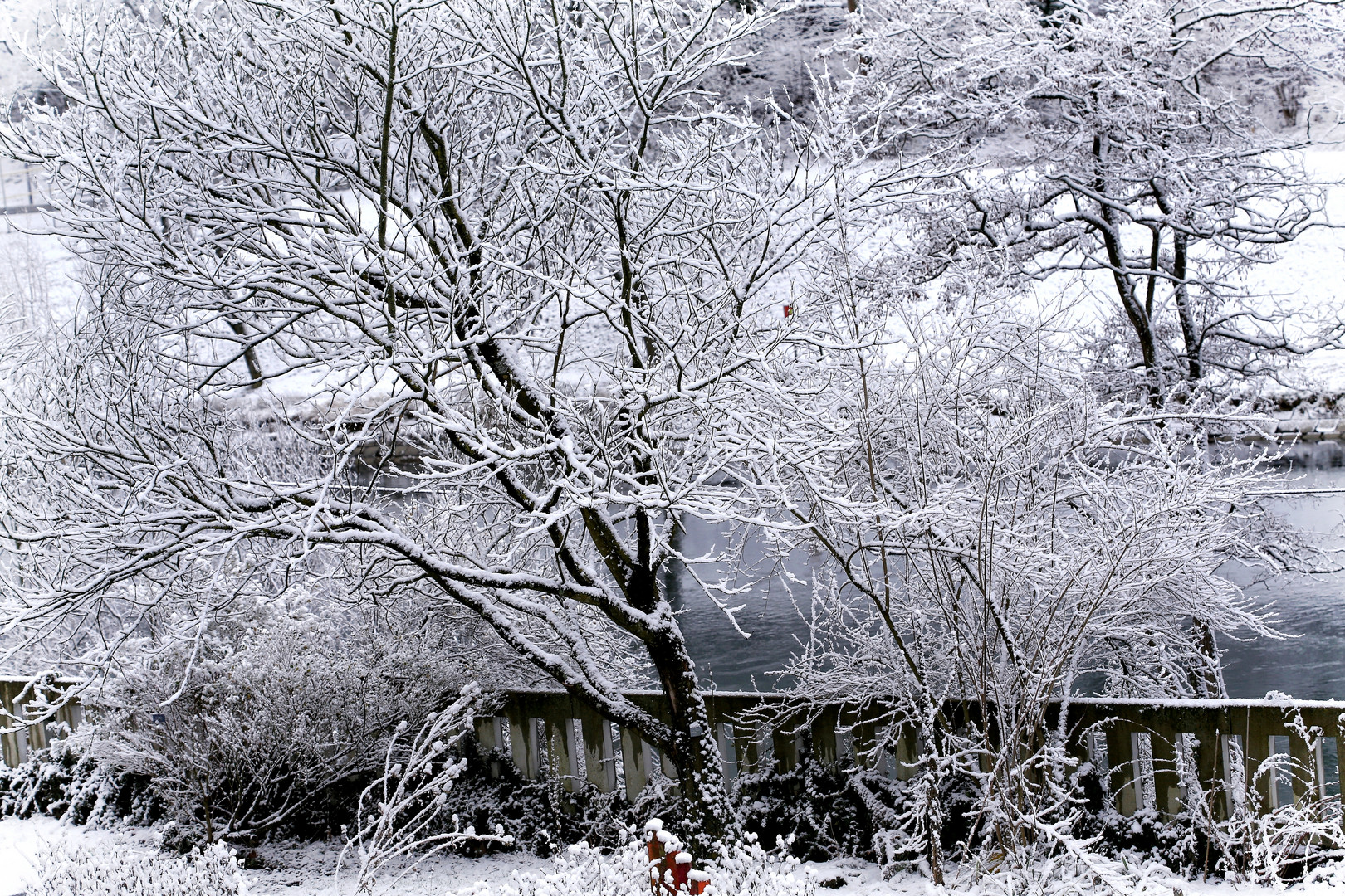 Winter im Garten