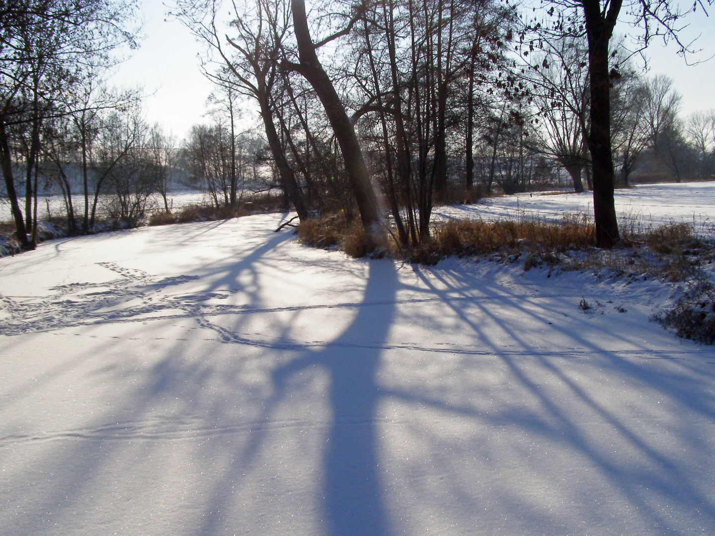 Winter im Gegenlicht