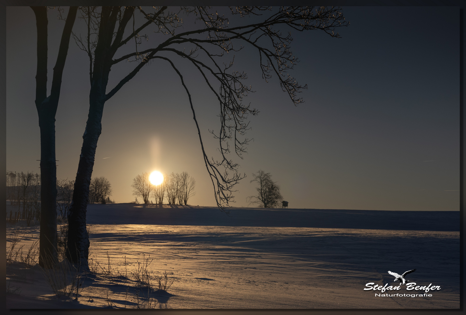 Winter im Gegenlicht