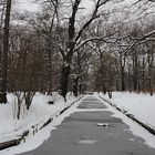 Winter im "Großen Garten"