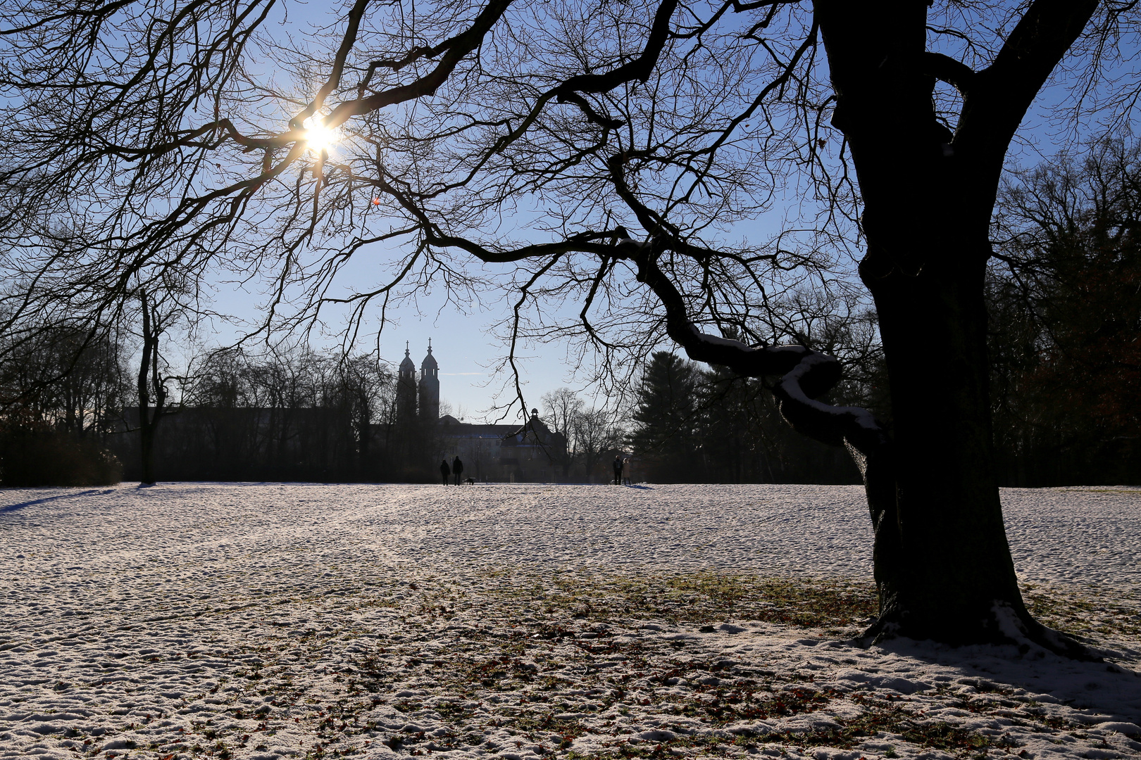 Winter im Großen-Garten