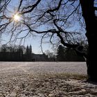 Winter im Großen-Garten