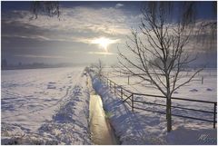 Winter im Großen Moor II