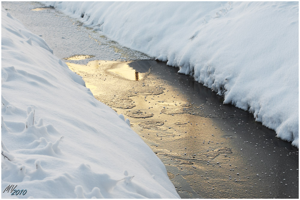 Winter im Großen Moor III