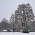 Winter im Hammoor