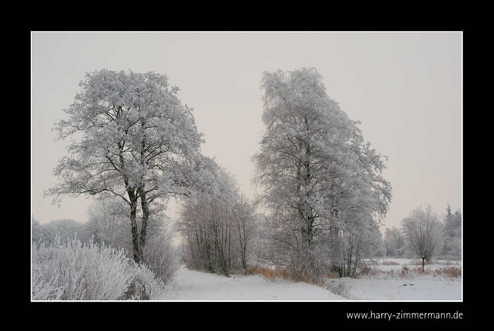 Winter im Hammoor