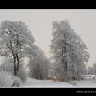 Winter im Hammoor