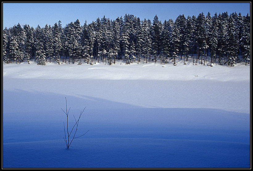 Winter im Harz