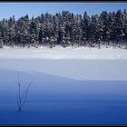 Winter im Harz