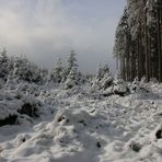 Winter im Harz...