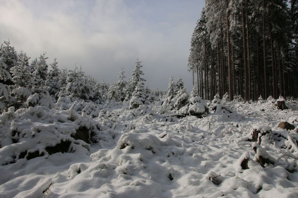 Winter im Harz...