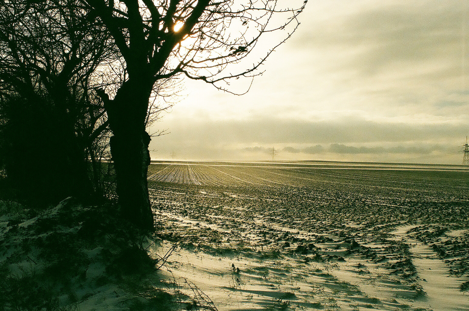 Winter im Harz 1