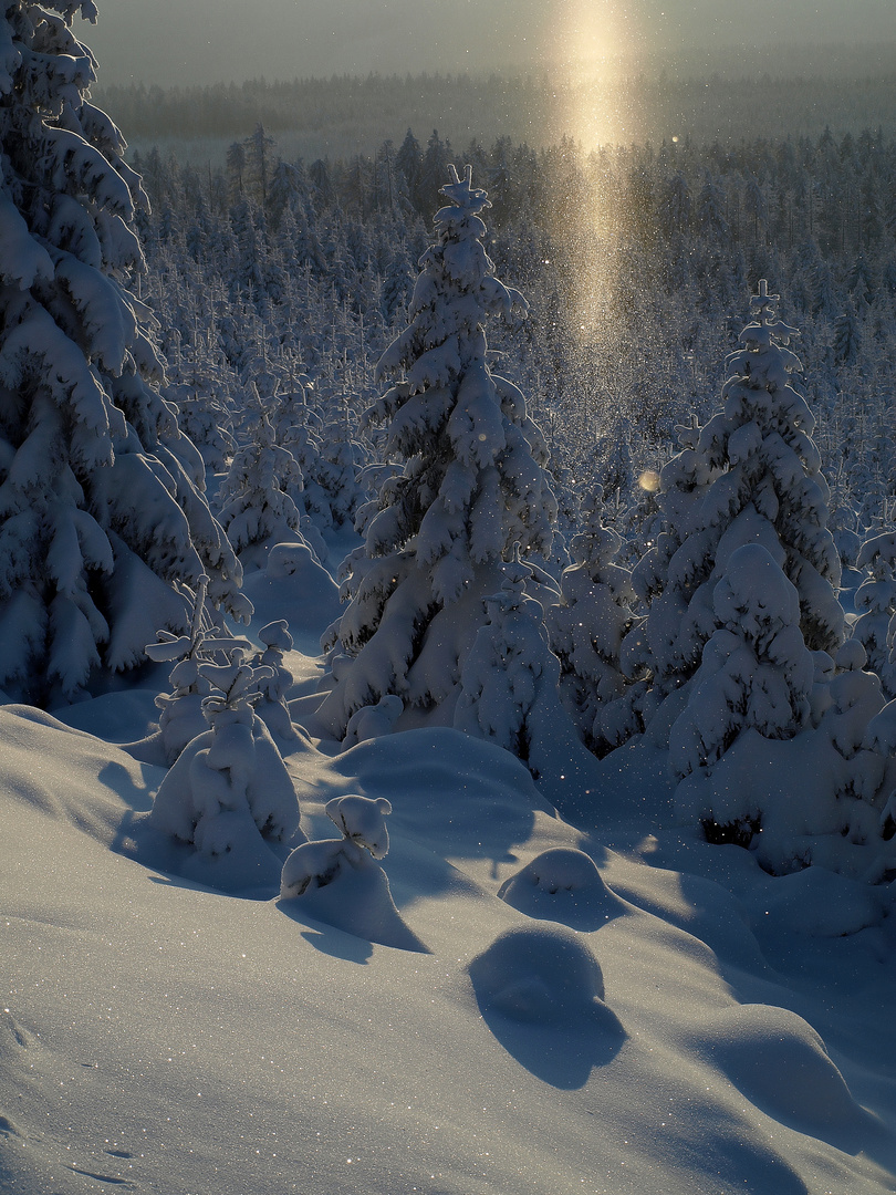 Winter im Harz #1 - Brocken unter Eiskristallen