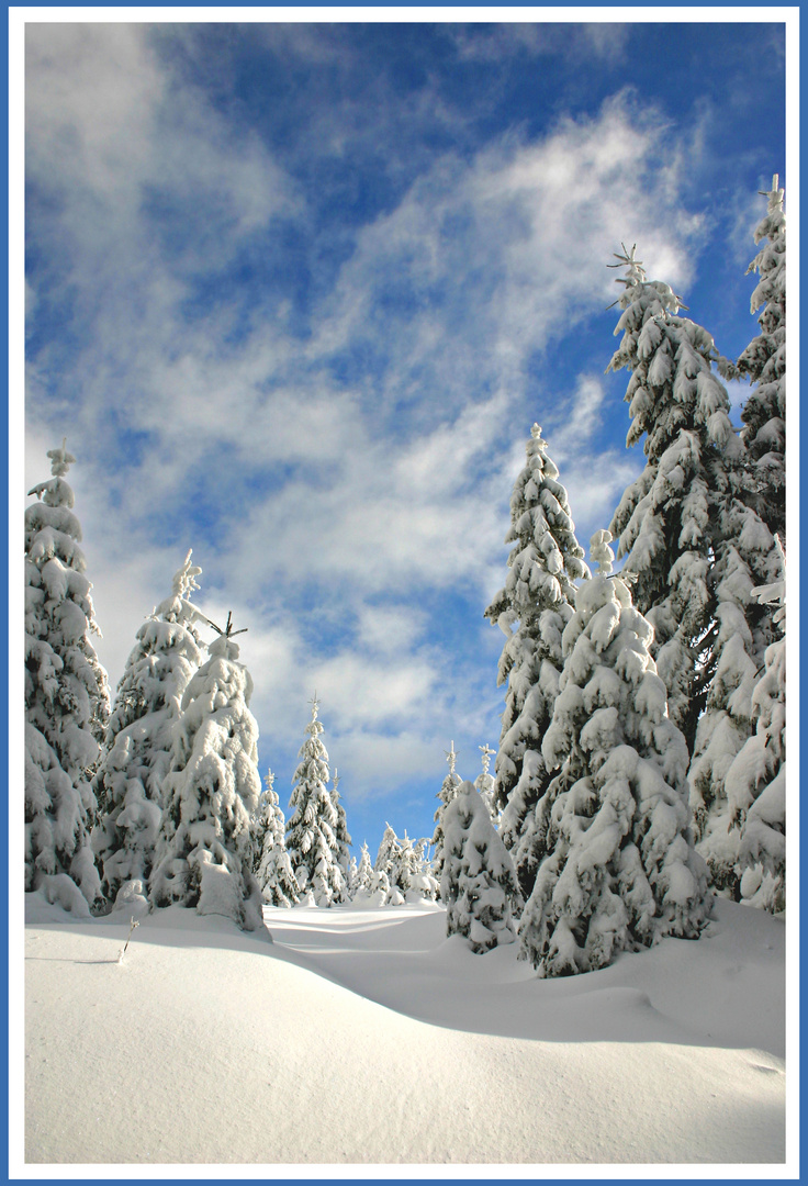 Winter im Harz