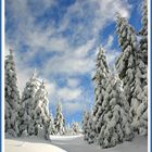 Winter im Harz