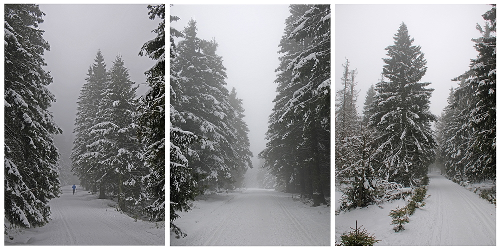 Winter im Harz