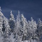 Winter im Harz 2008