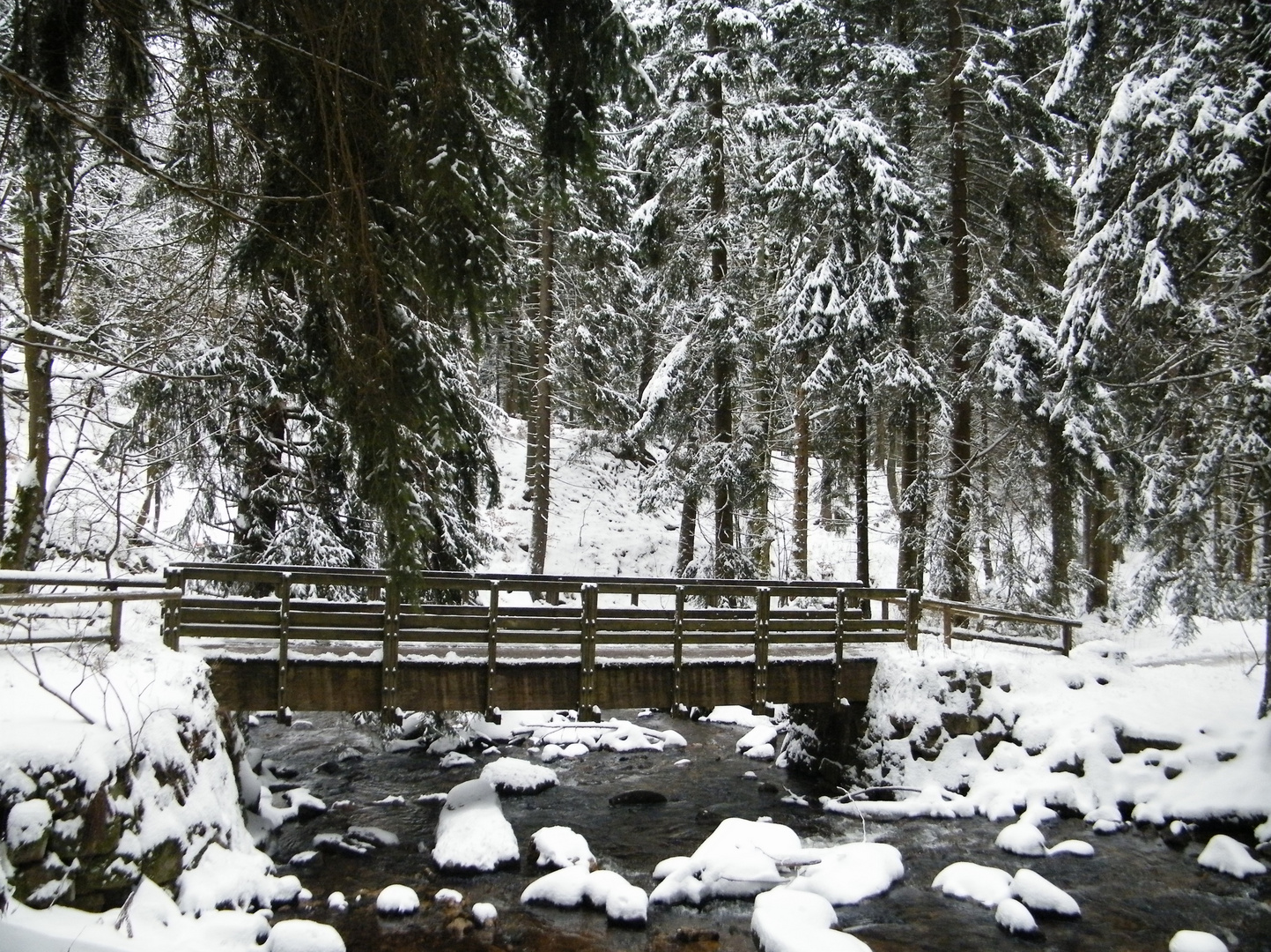 Winter im Harz 2014 1