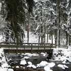 Winter im Harz 2014 1