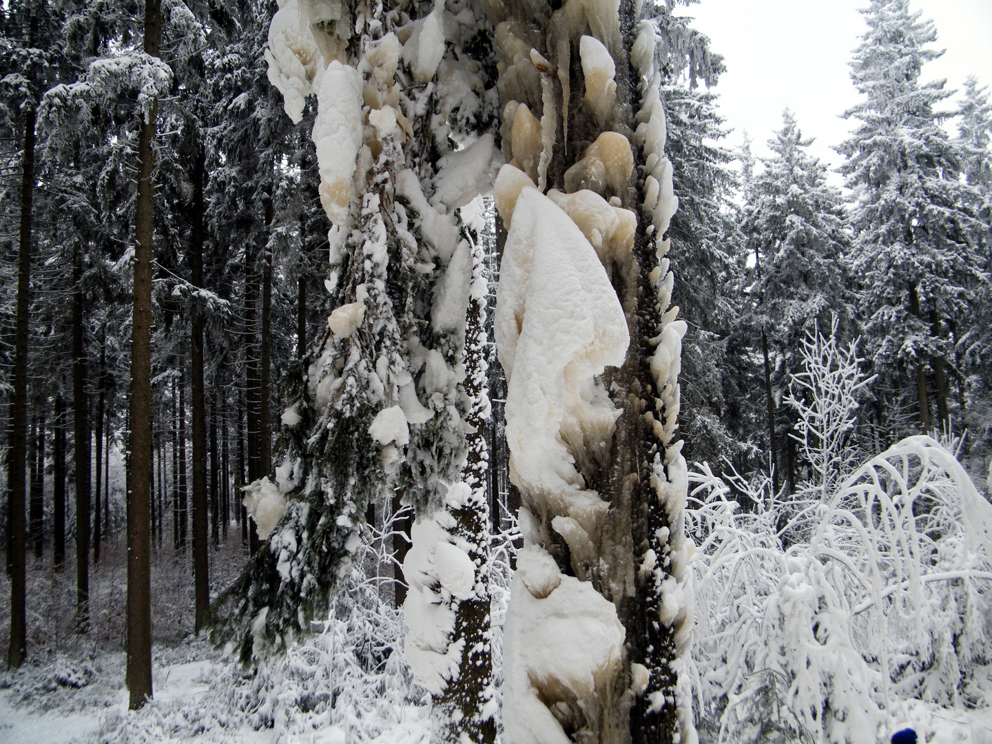 Winter im Harz 2014 4