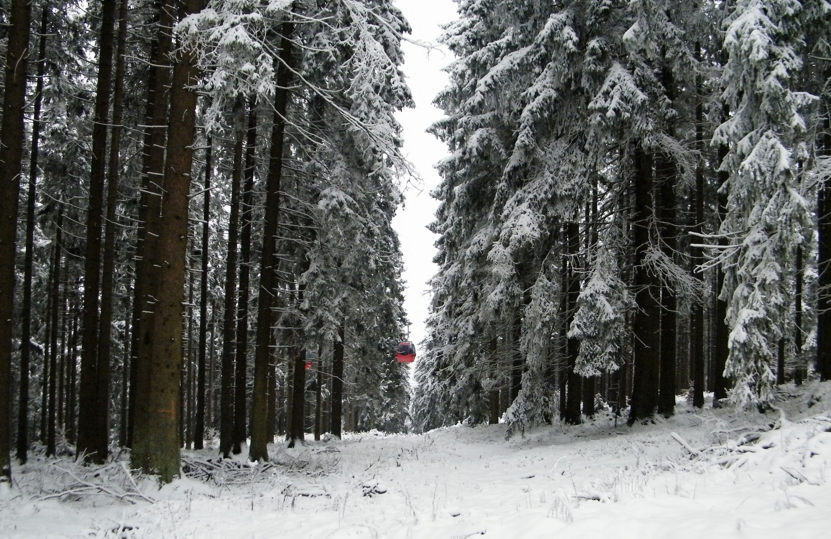 Winter im Harz 2014