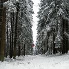 Winter im Harz 2014