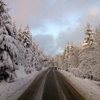 Winter im Harz