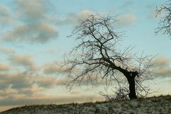 Winter im Harz 3