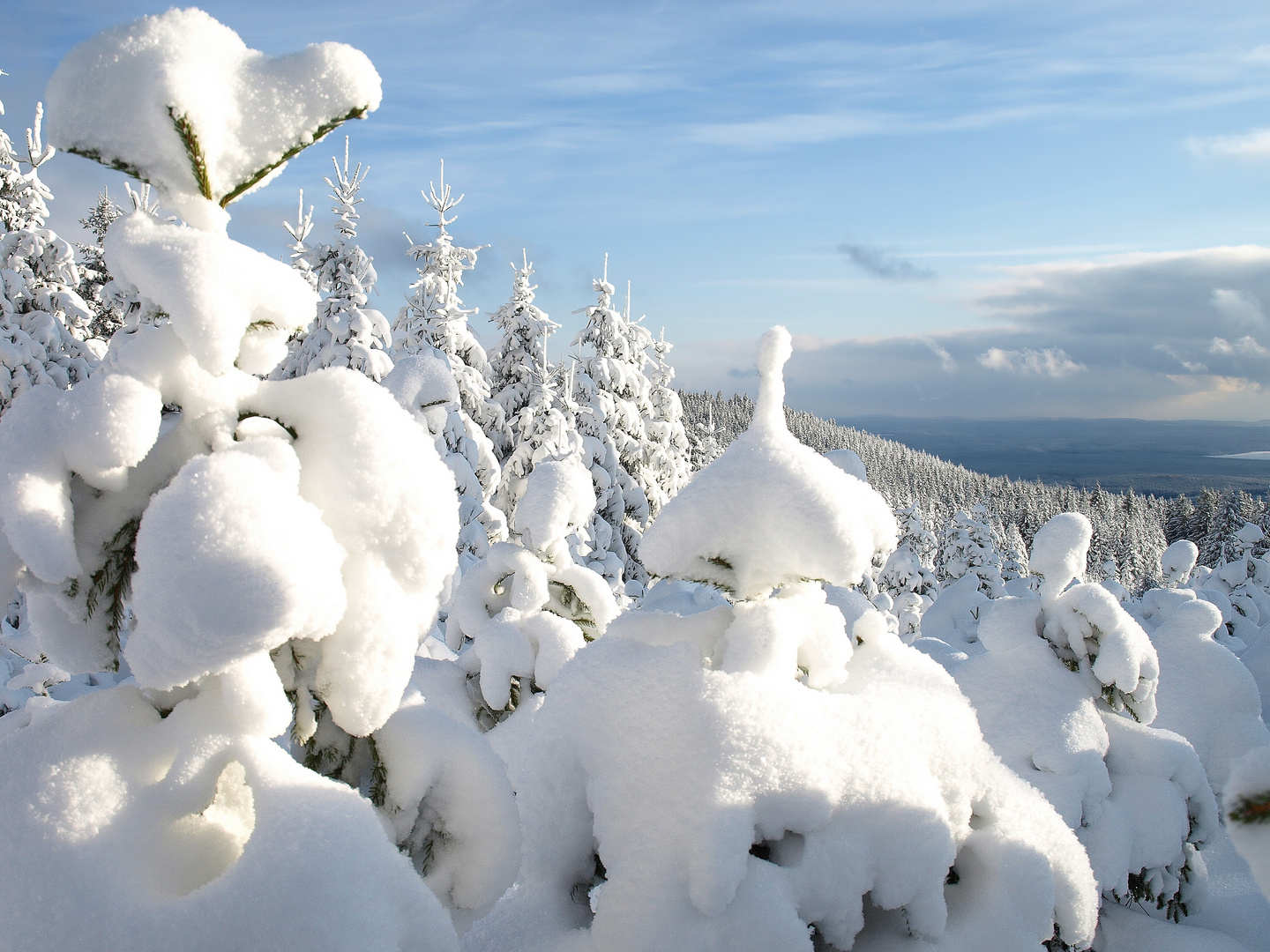 Winter im Harz #3 - Getarnte Wachposten am Grenzweg