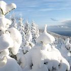 Winter im Harz #3 - Getarnte Wachposten am Grenzweg