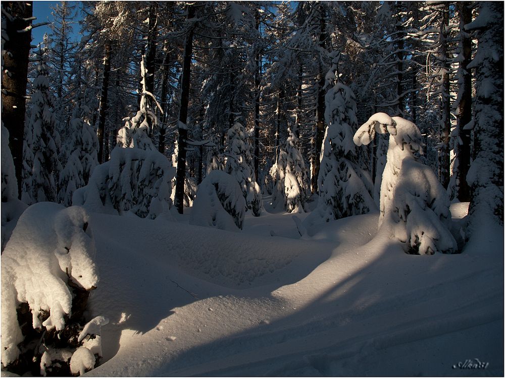 Winter im Harz.