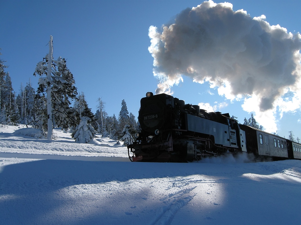 Winter im Harz