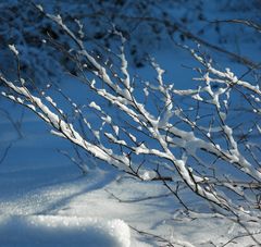 Winter im Harz