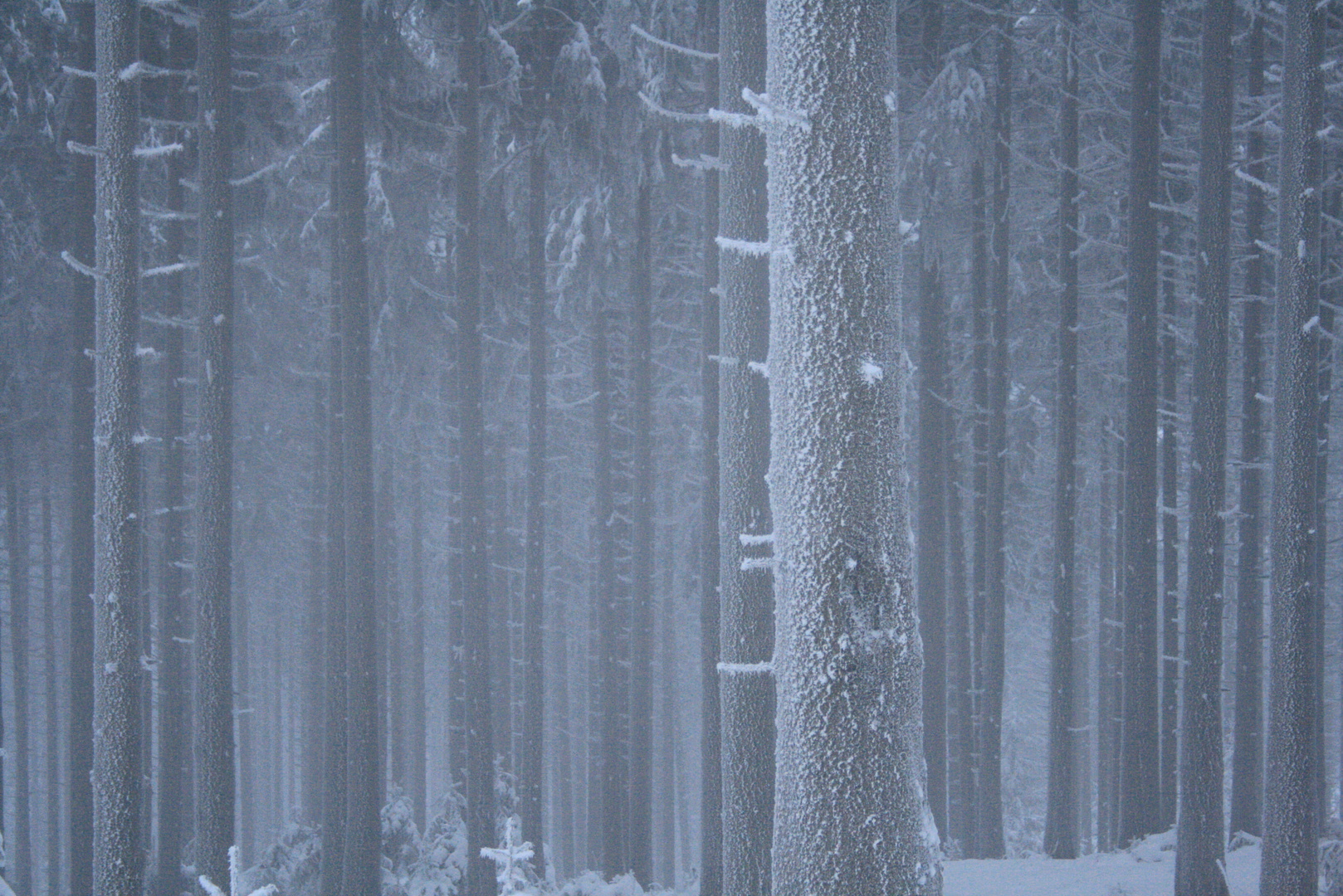 Winter im Harz