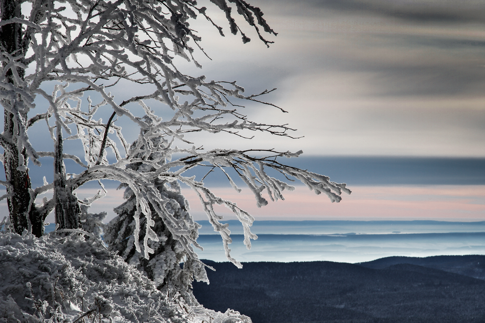 Winter im Harz