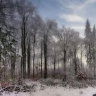 Winter im Harz