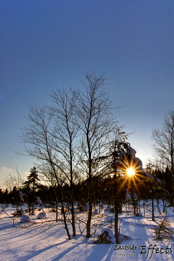 Winter im Harz