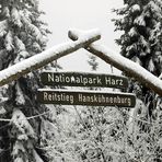 Winter im Harz