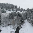 Winter im Harz