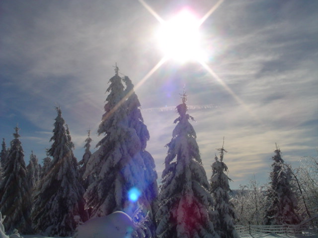 Winter im Harz