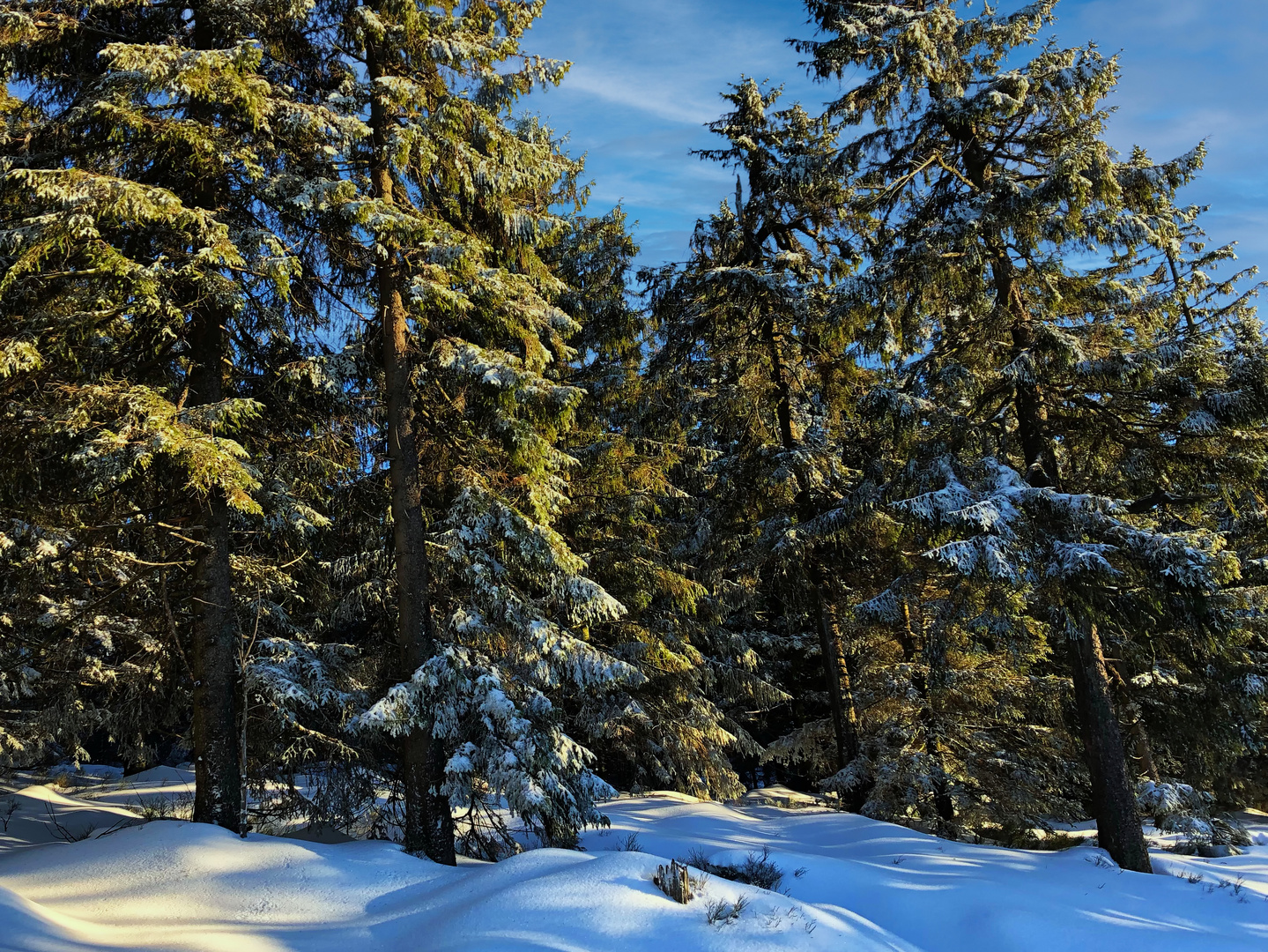 Winter im Harz