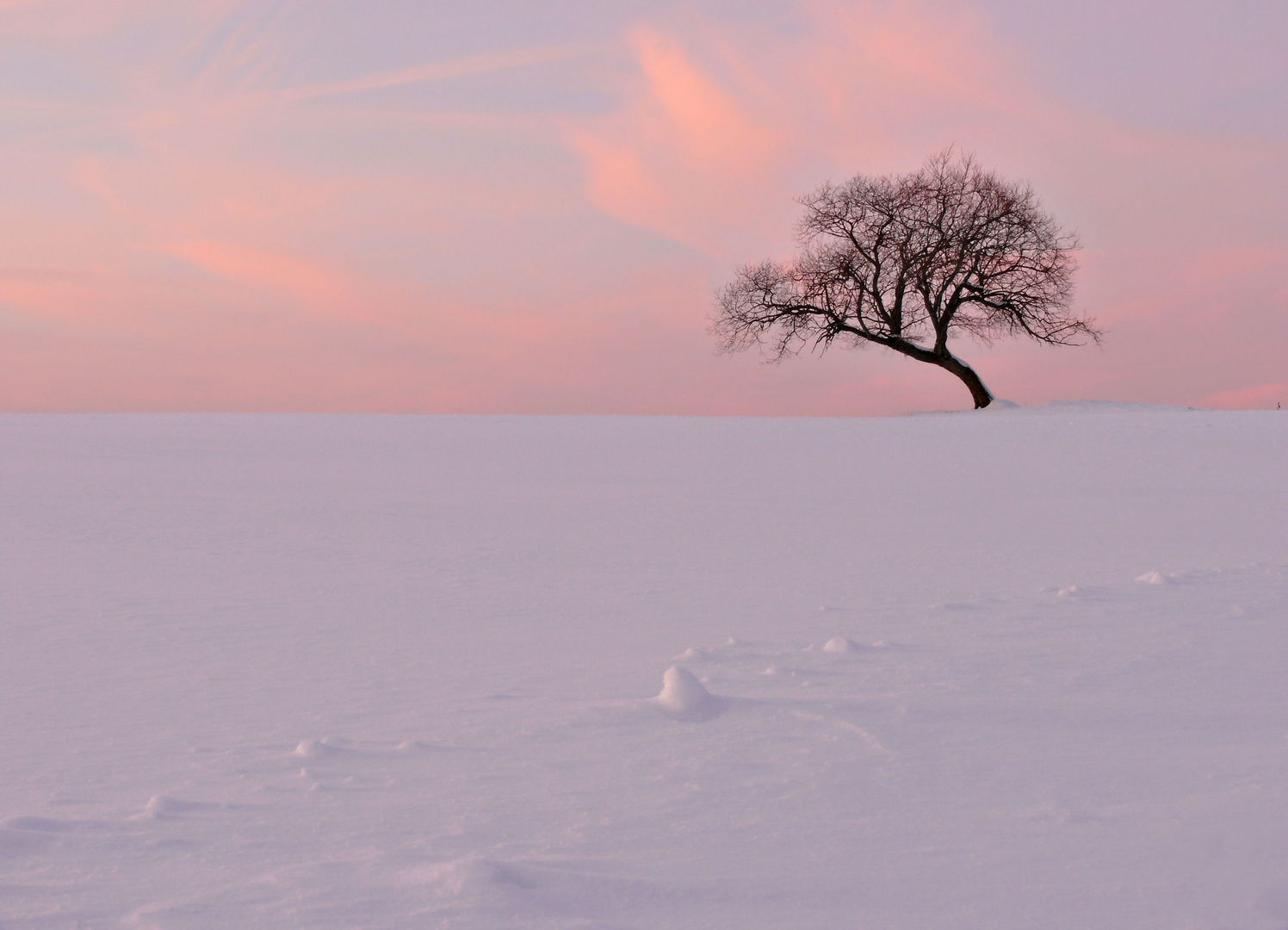 Winter im Harz