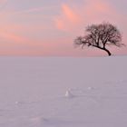 Winter im Harz