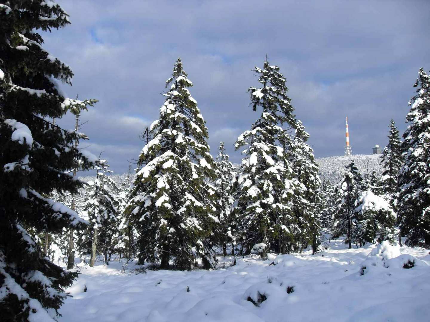 Winter im Harz am Brocken