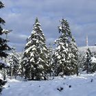 Winter im Harz am Brocken