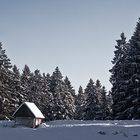 WINTER im HARZ