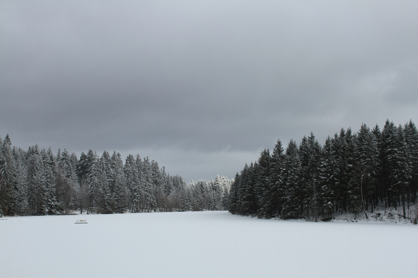 Winter im Harz ......