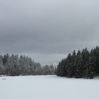 Winter im Harz ......