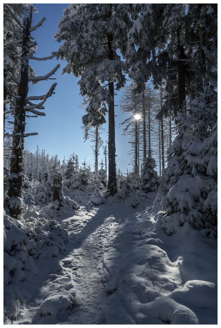 Winter im Harz